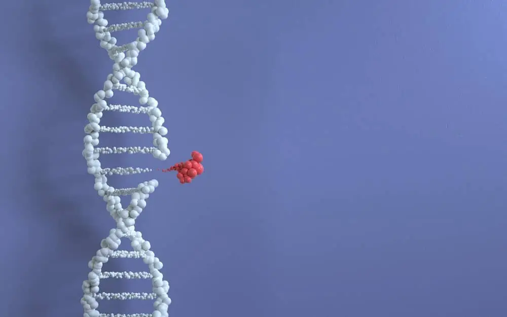 Genetische manipulatie