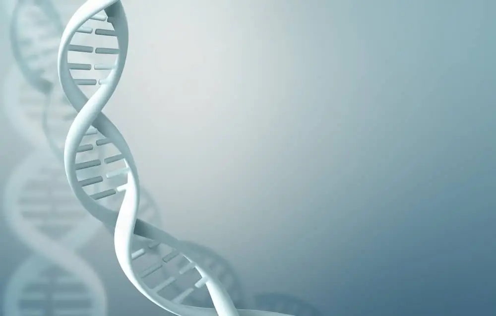 Biotech