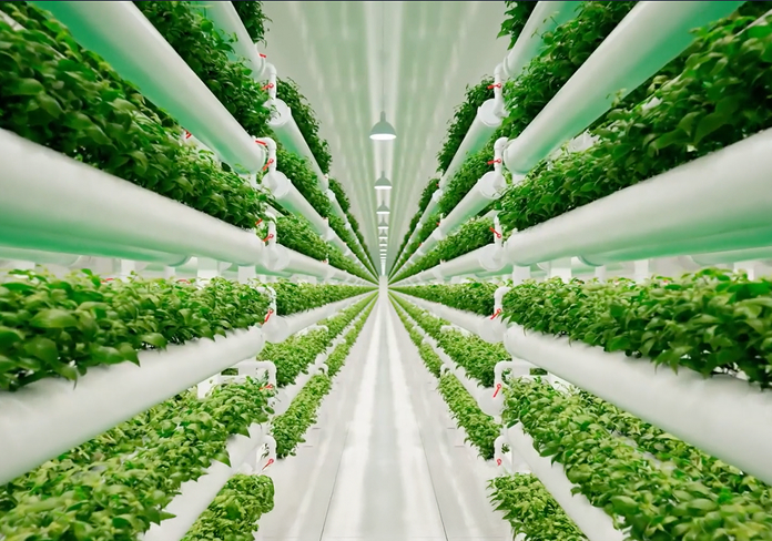 Een toekomst die bloeit dankzij AI in de agrarische sector.